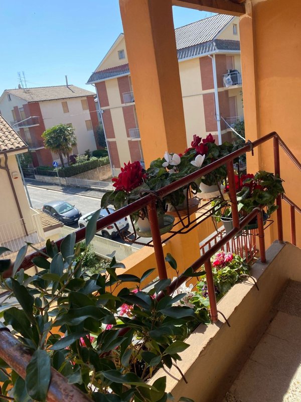 appartamento in affitto a Jesi