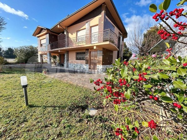 appartamento in affitto a Jesi