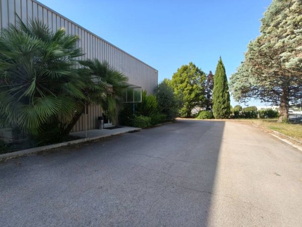 locale commerciale in affitto a Jesi
