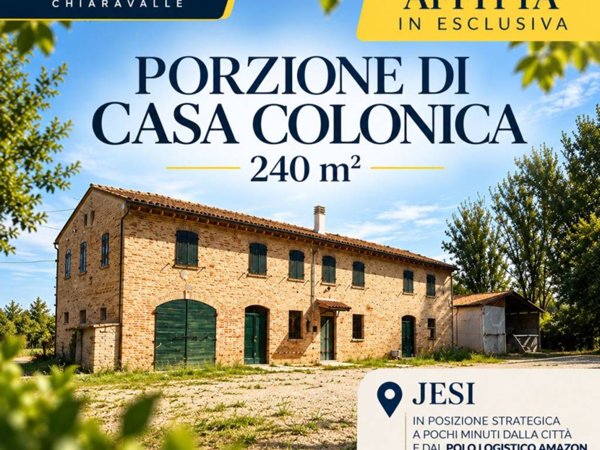 appartamento in affitto a Jesi