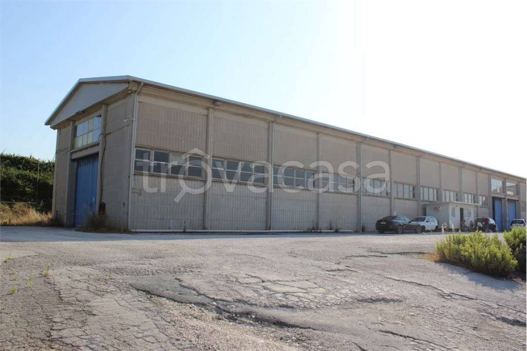 appartamento in affitto a Montemarciano in zona Marina