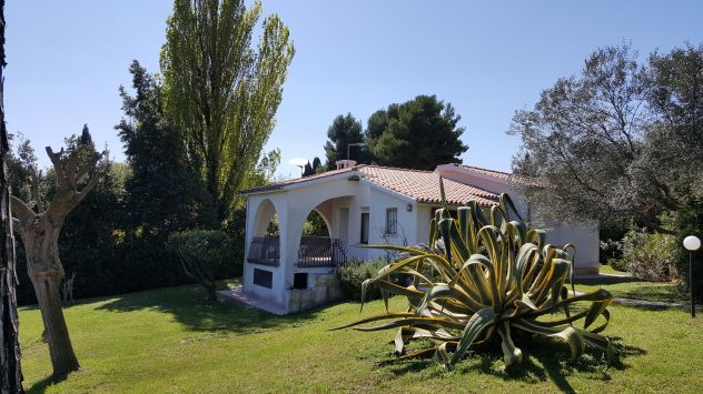 casa indipendente in affitto a Numana
