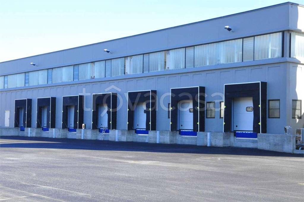 locale commerciale in affitto ad Offagna