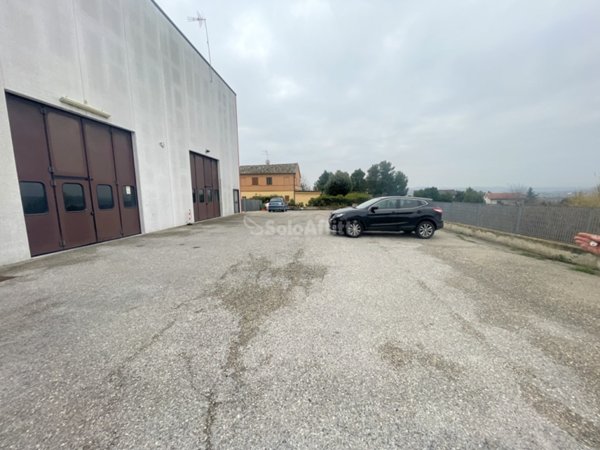 quadrivano in affitto ad Osimo