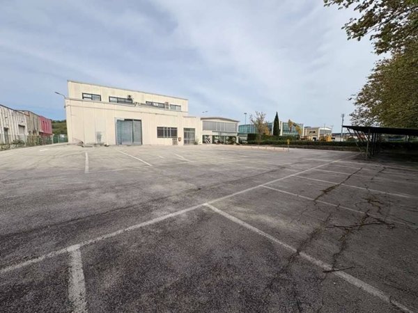 locale commerciale in affitto ad Osimo