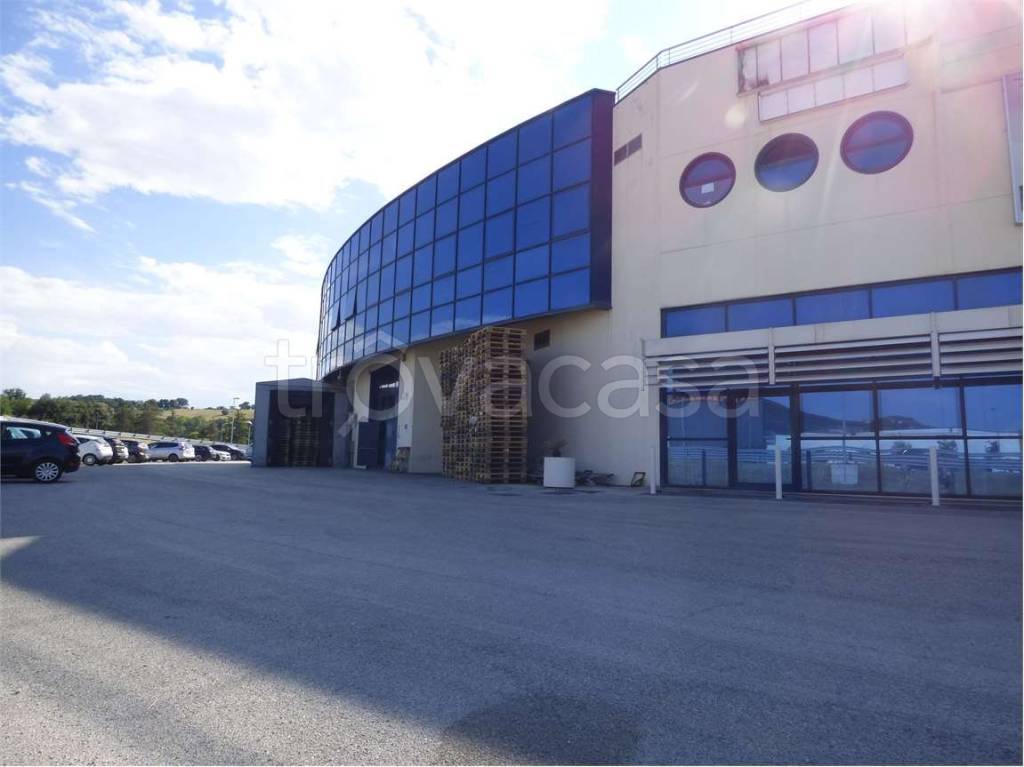 locale commerciale in affitto ad Osimo