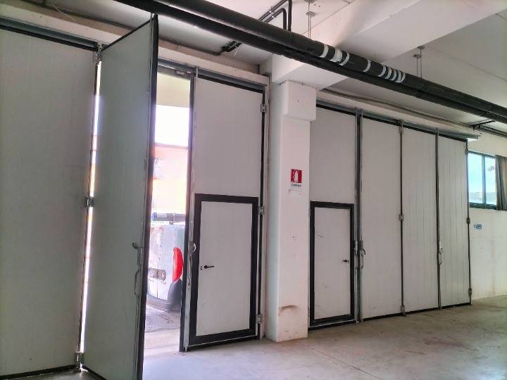 locale commerciale in affitto a Senigallia