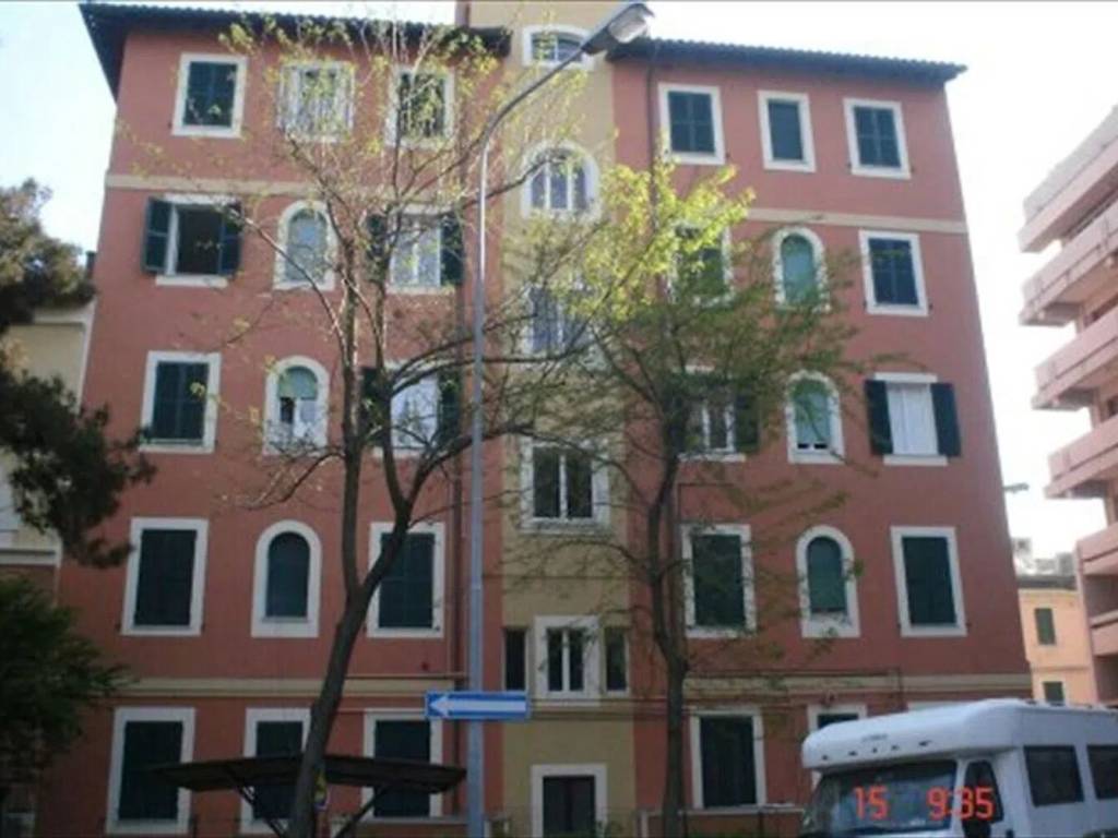 appartamento in affitto a Senigallia
