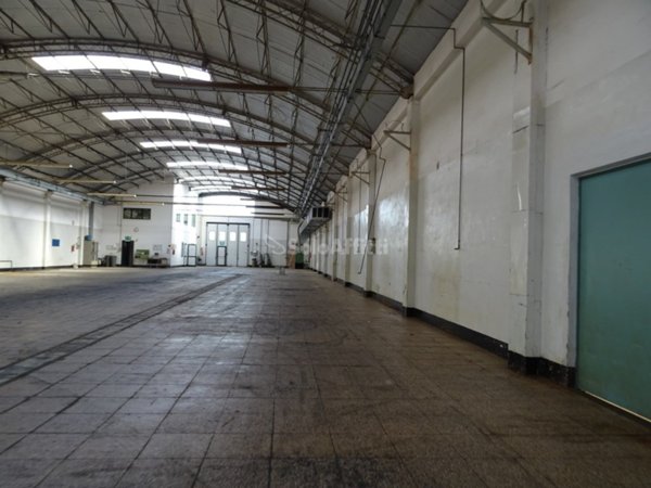 locale commerciale in affitto a Senigallia in zona Cesano