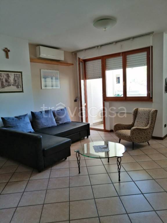 appartamento in affitto a Senigallia