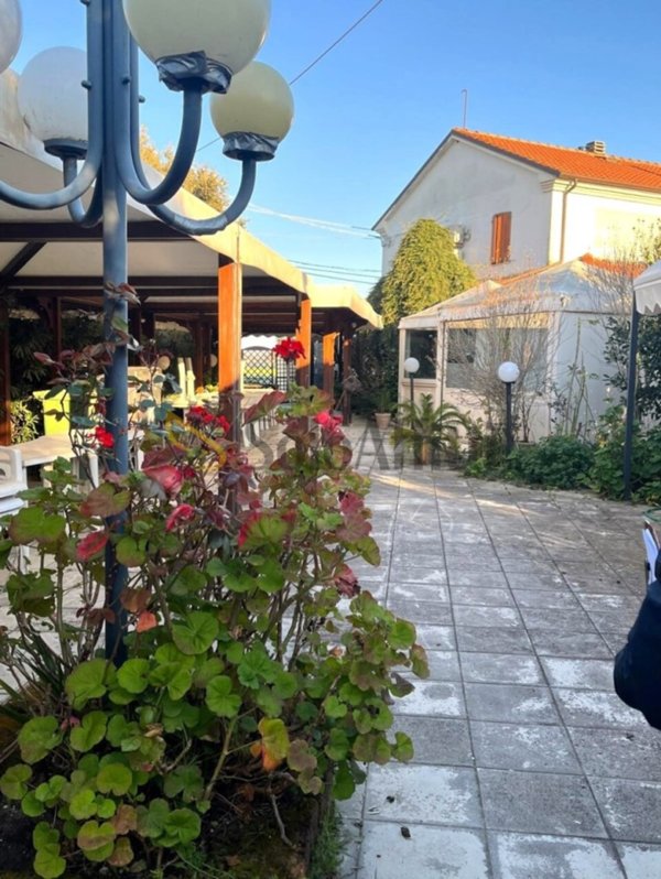 negozio in affitto a Senigallia