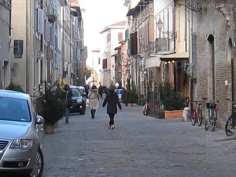 appartamento in affitto a Senigallia