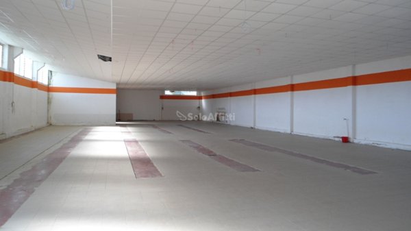 appartamento in affitto a Senigallia