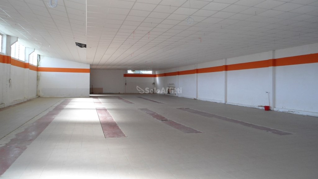 appartamento in affitto a Senigallia