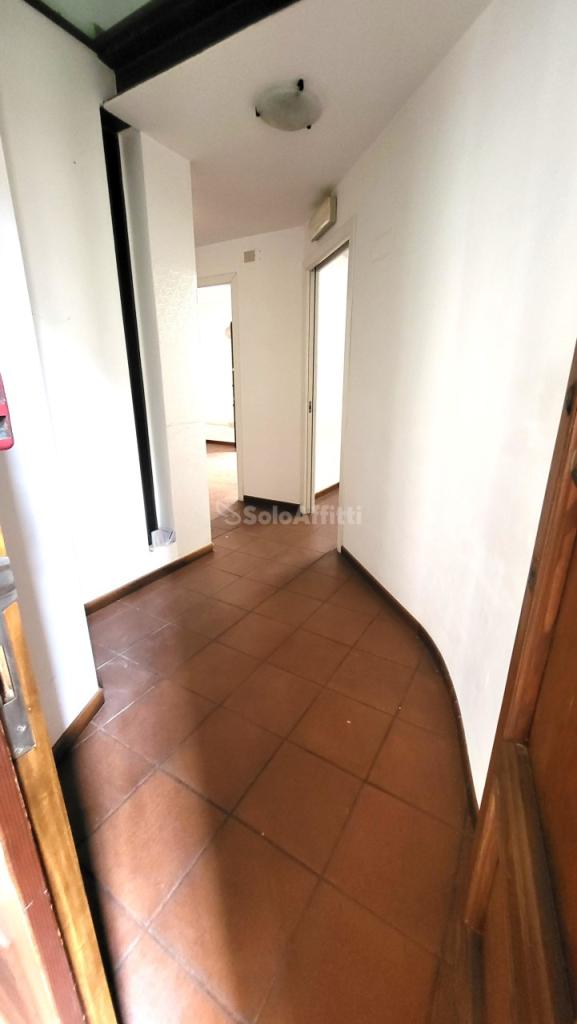 appartamento in affitto a Senigallia
