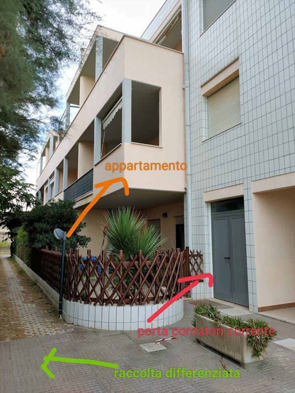 appartamento in affitto a Senigallia