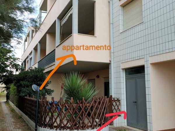 appartamento in affitto a Senigallia