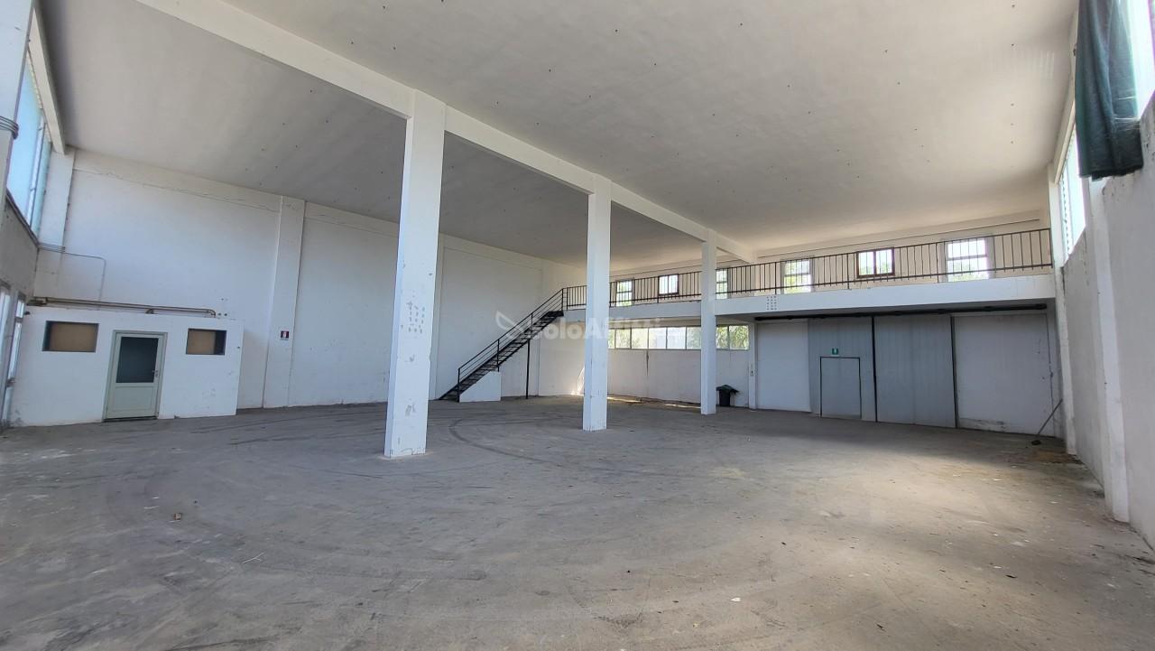 appartamento in affitto a Senigallia