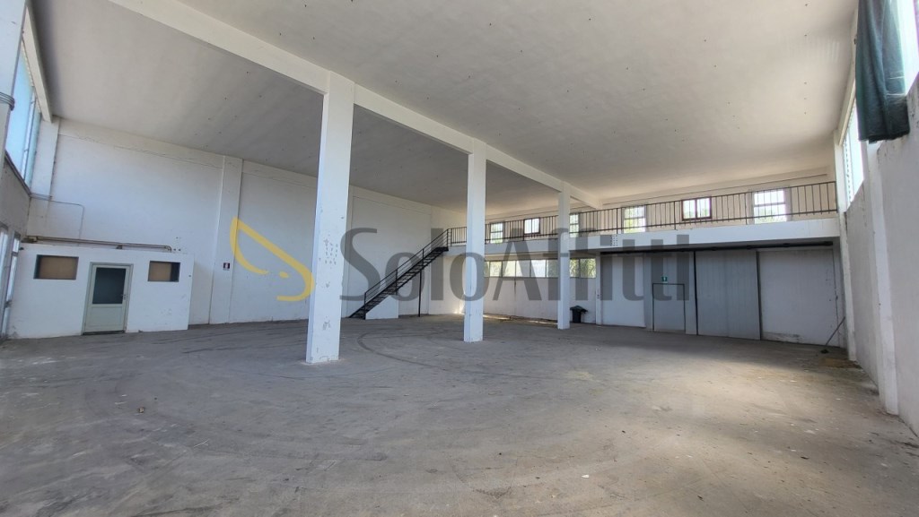 appartamento in affitto a Senigallia