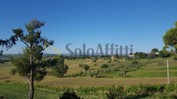 appartamento in affitto a Senigallia in zona San Silvestro