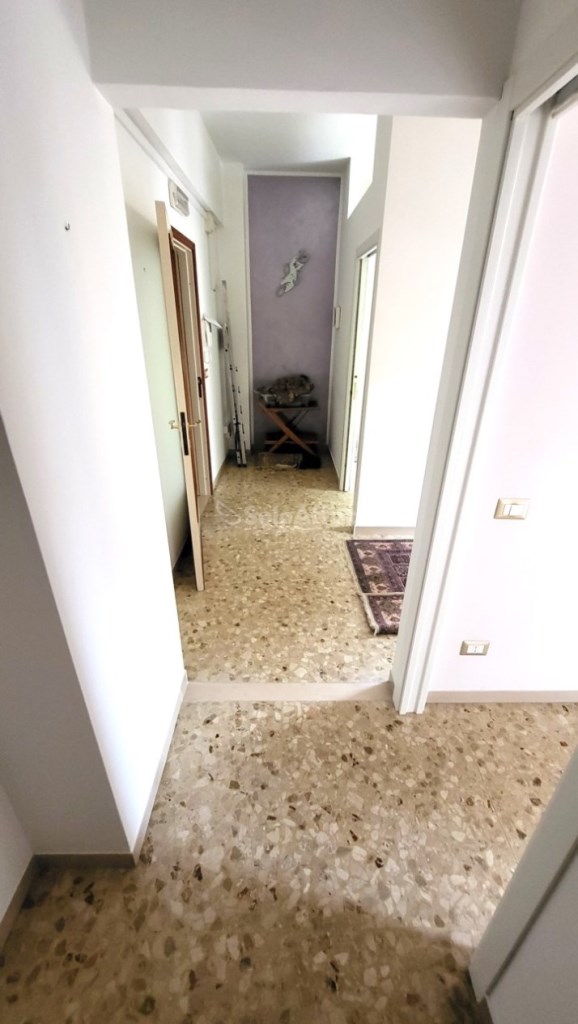 appartamento in affitto a Senigallia