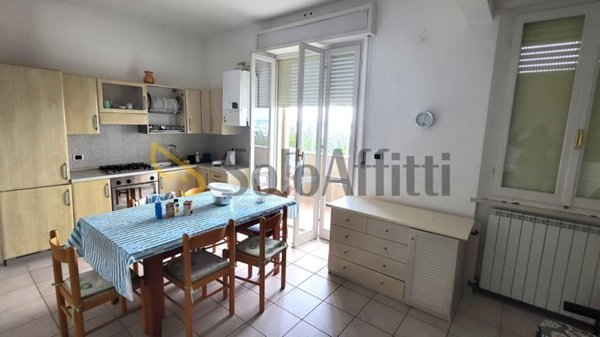 appartamento in affitto a Senigallia