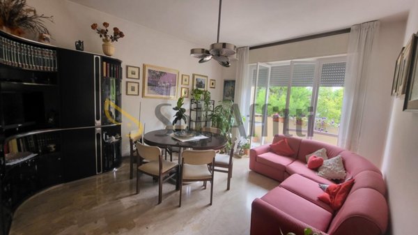 appartamento in affitto a Senigallia