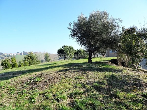 terreno agricolo in affitto a Senigallia in zona Sant'Angelo