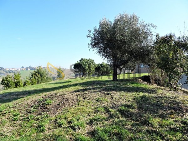 terreno agricolo in affitto a Senigallia in zona Sant'Angelo