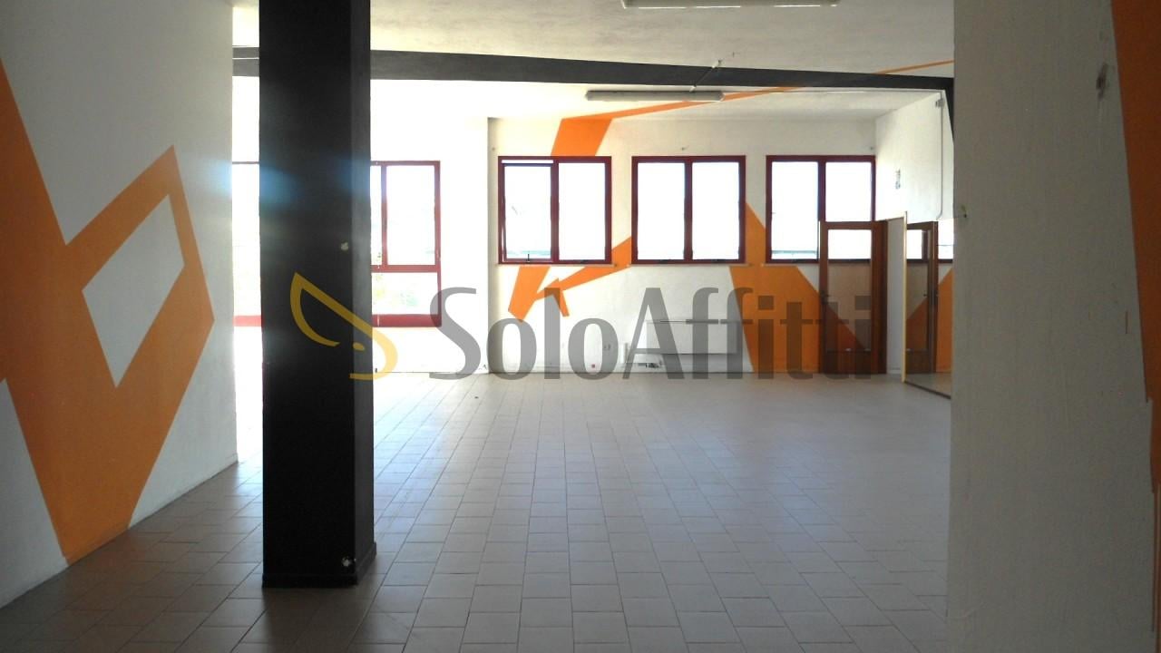 appartamento in affitto a Senigallia