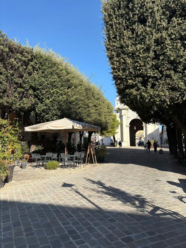negozio in affitto a Senigallia