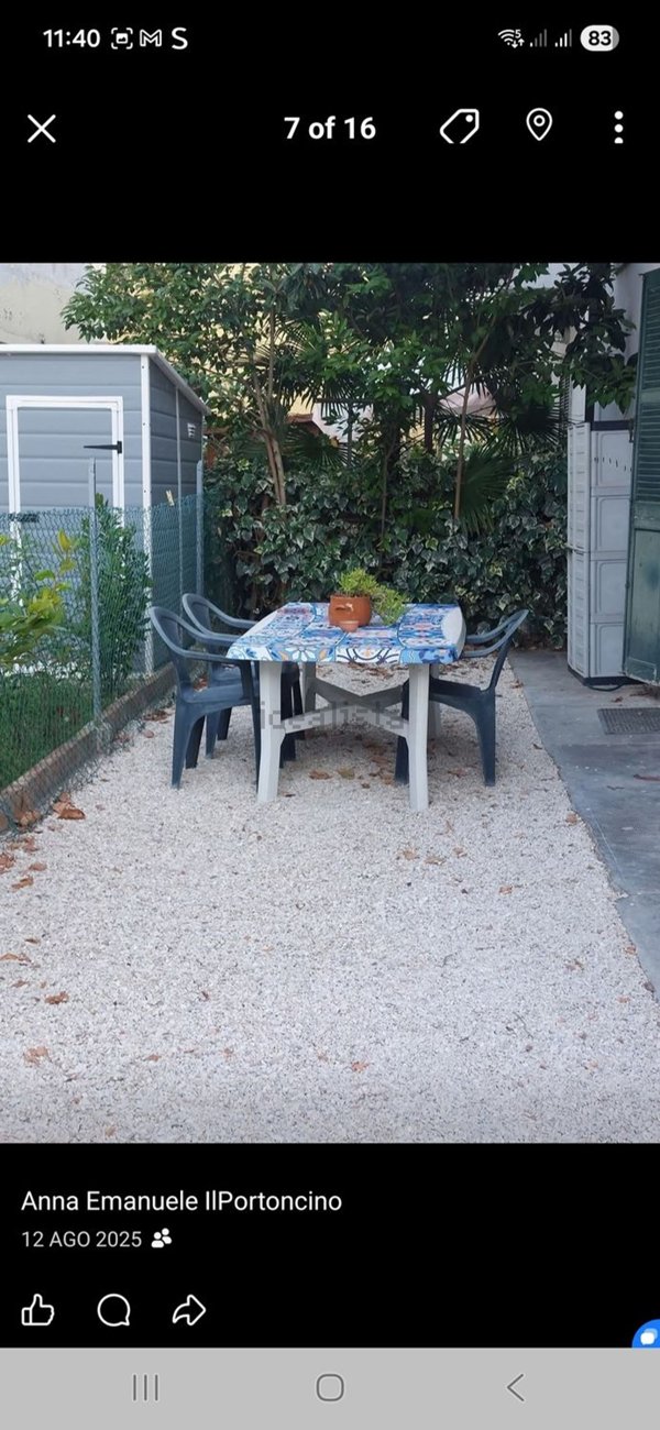 appartamento in affitto a Senigallia