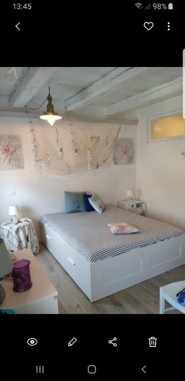 appartamento in affitto a Senigallia