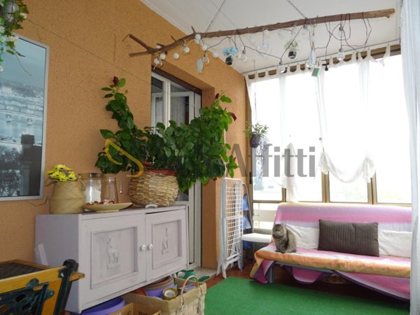 appartamento in affitto a Senigallia