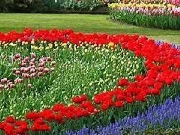 appartamento in affitto a Senigallia