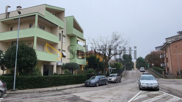 negozio in affitto a Senigallia
