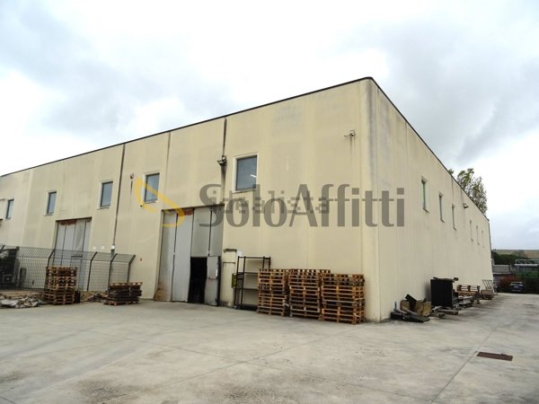 capannone in affitto a Senigallia