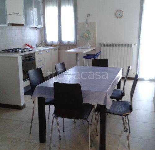 appartamento in affitto a Senigallia