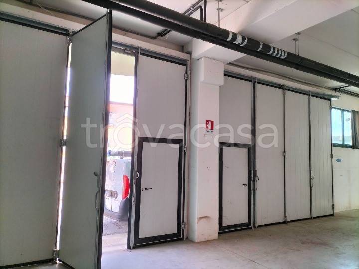 appartamento in affitto a Senigallia