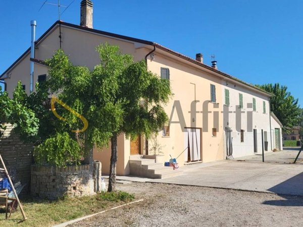appartamento in affitto a Senigallia