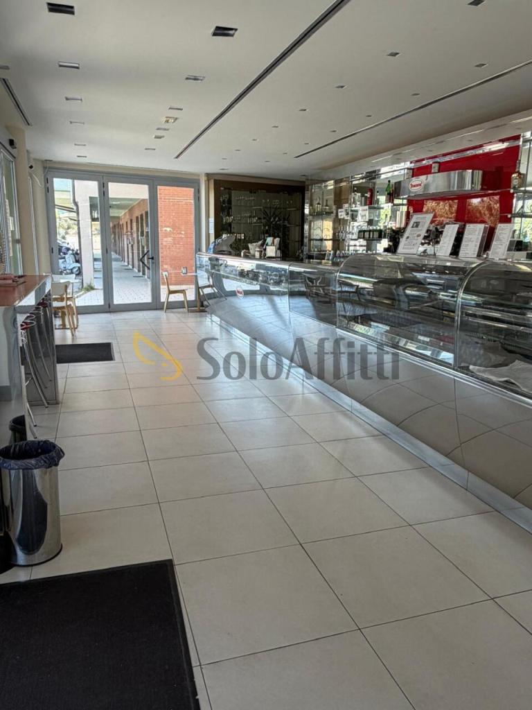 appartamento in affitto a Senigallia