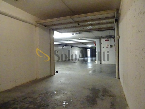 monolocale in affitto a Senigallia