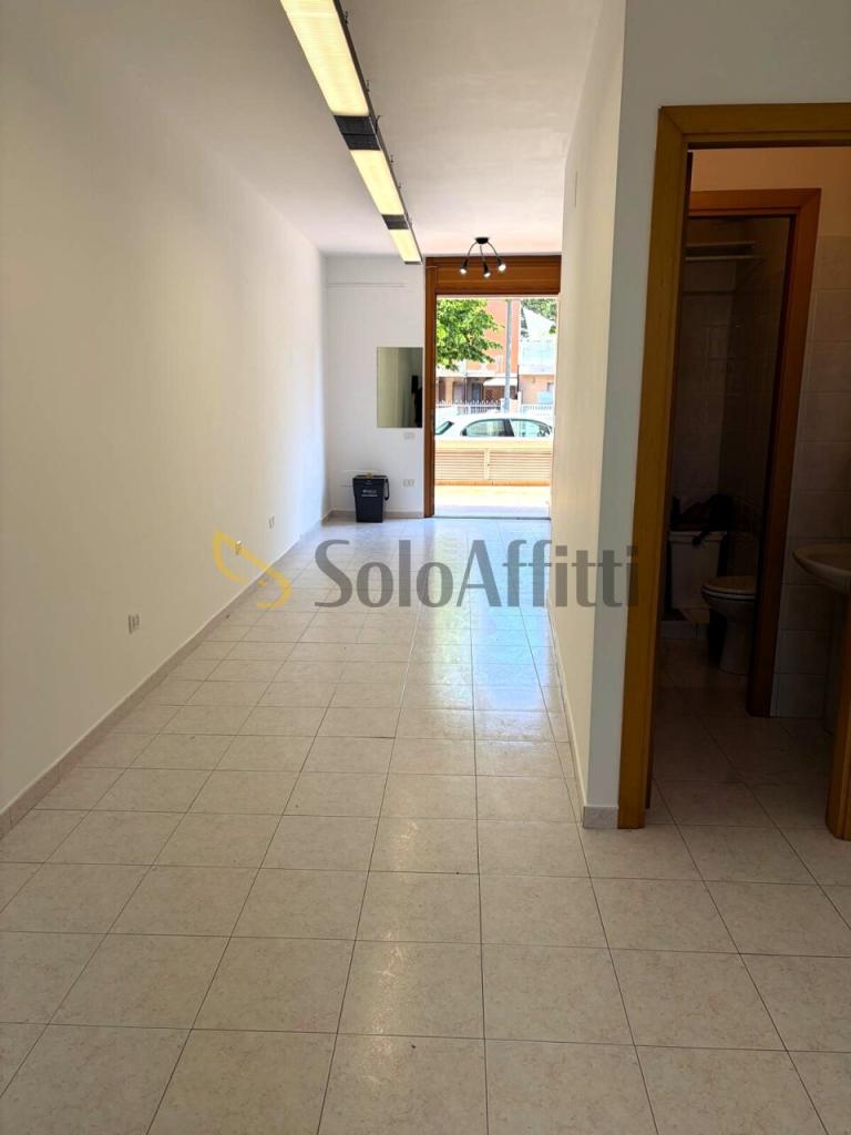 appartamento in affitto a Senigallia