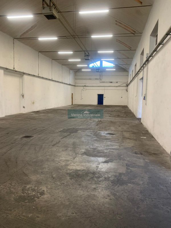 appartamento in affitto a Senigallia