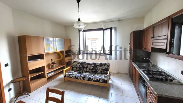 appartamento in affitto a Trecastelli