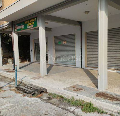 negozio in affitto a Civitanova Marche