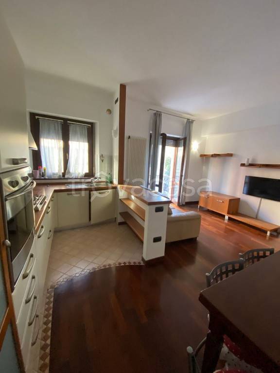 appartamento in affitto a Civitanova Marche