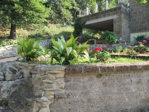 casa indipendente in affitto a Civitanova Marche