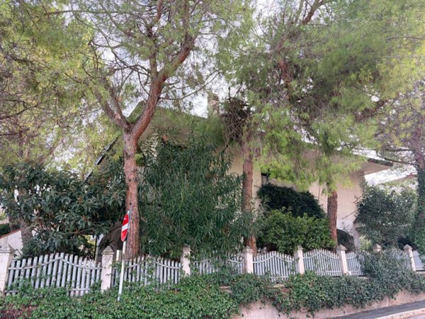 appartamento in affitto a Civitanova Marche in zona Fontespina