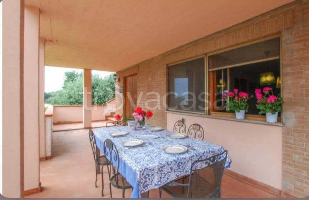 casa indipendente in affitto a Civitanova Marche